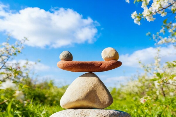 春分时节话平衡丨养固健倡导的